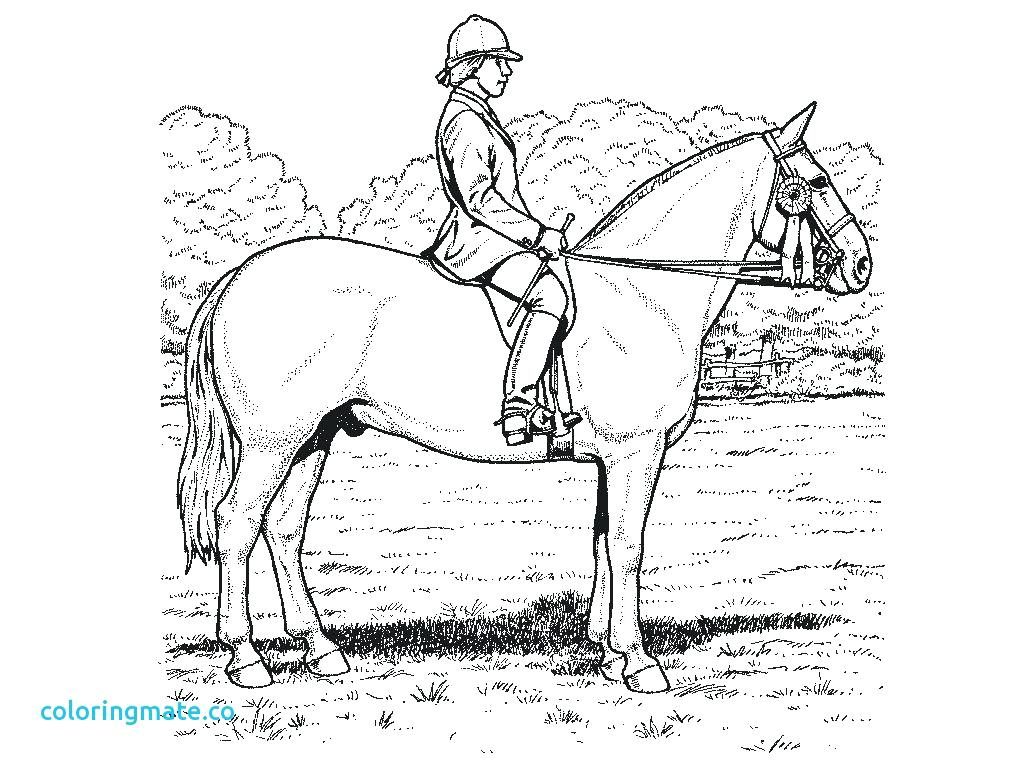 Coloring Page ~ Flat Stanley Coloring Page Realistic Horse Pages 1024x768 Coloring Page ~ Flat Stanley Coloring Page Realistic Horse Pages