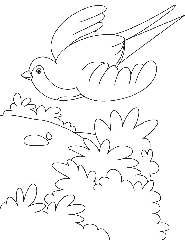 Flight Coloring Pages at GetColorings.com | Free printable colorings ...