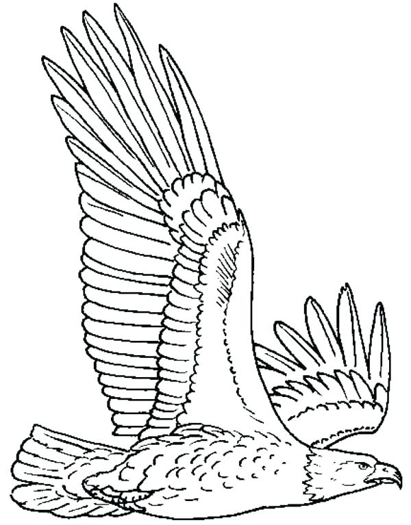 Eagle Coloring Page Fresh Bald Eagle Coloring Pages Online Color 600x767 Eagle Coloring Page Fresh Bald Eagle Coloring Pages Online Color