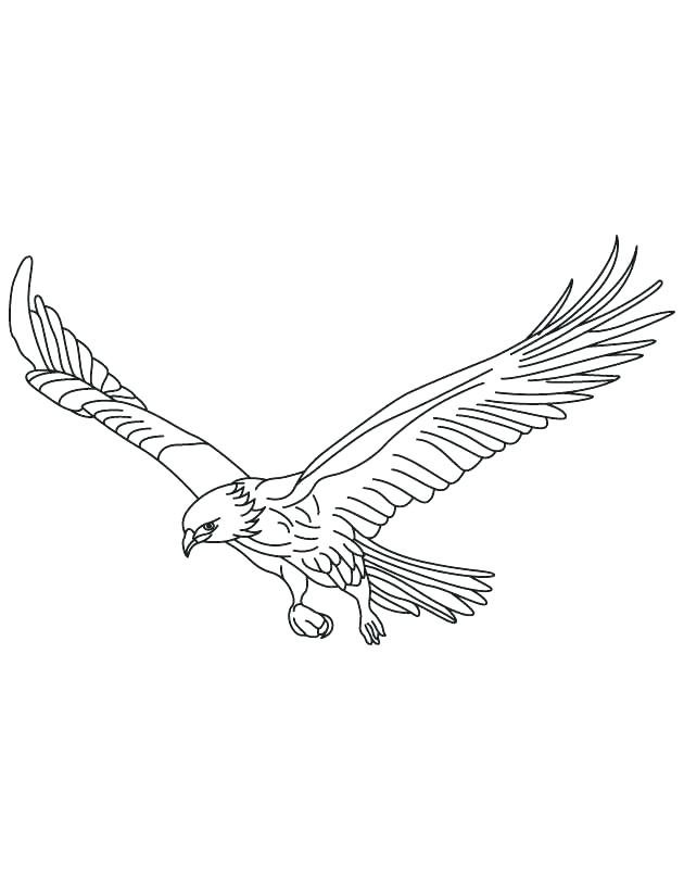 Outstanding Coloring Pages Birds Remarkable Coloring Pages 630x810 Outstanding Coloring Pages Birds Remarkable Coloring Pages