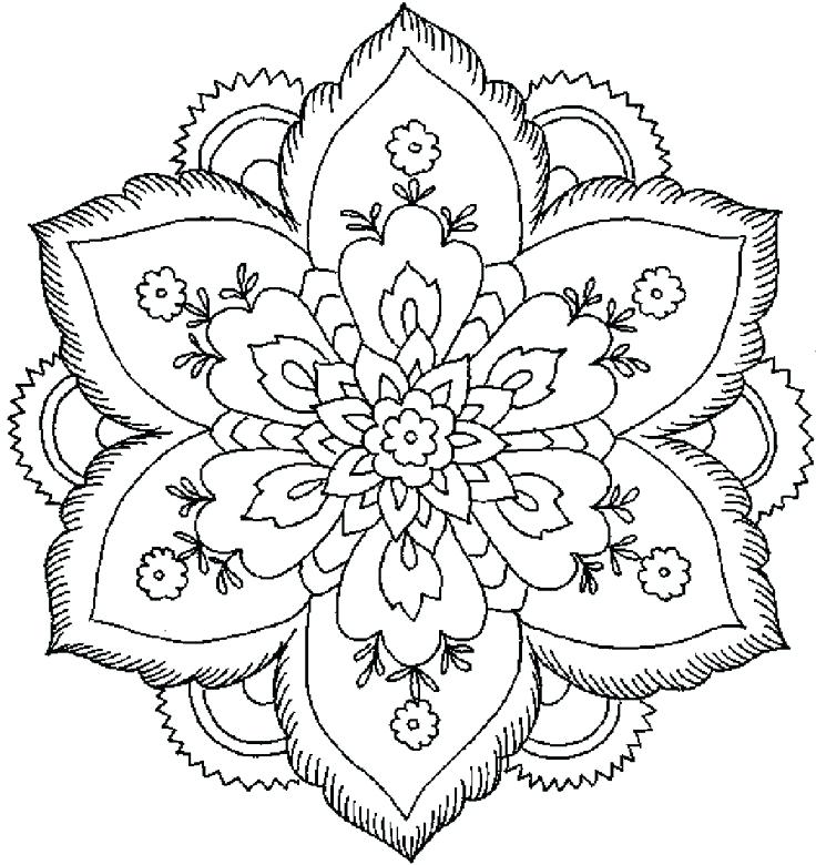 736x780 Flowers Coloring Pages For Drawing Blooming Aster Flower Coloring