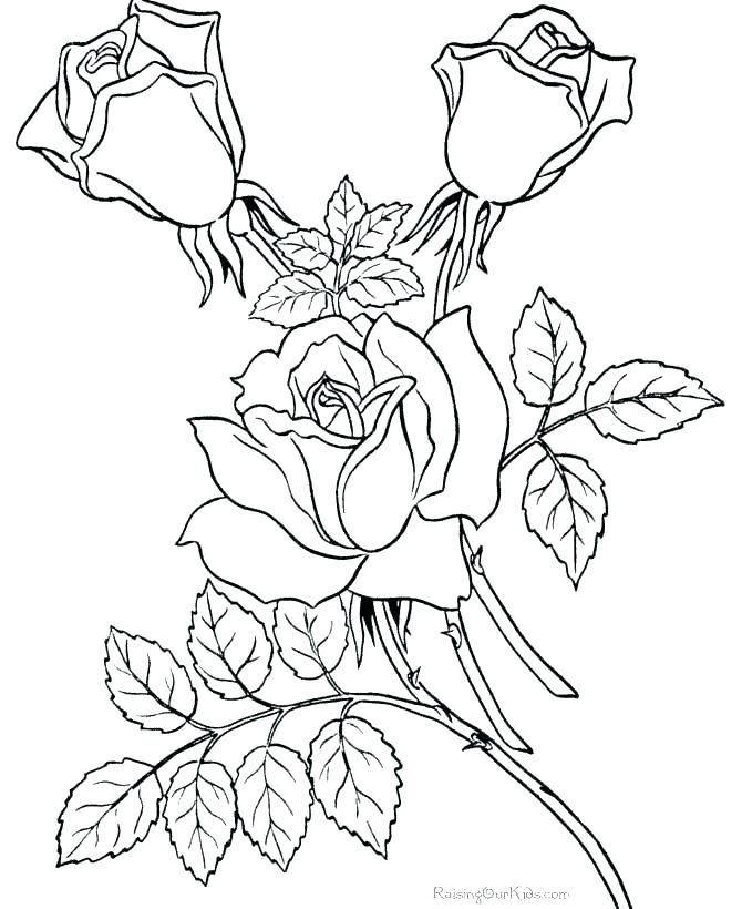 670x820 Color By Number Flower Coloring Pages Color Sheets Of Flowers