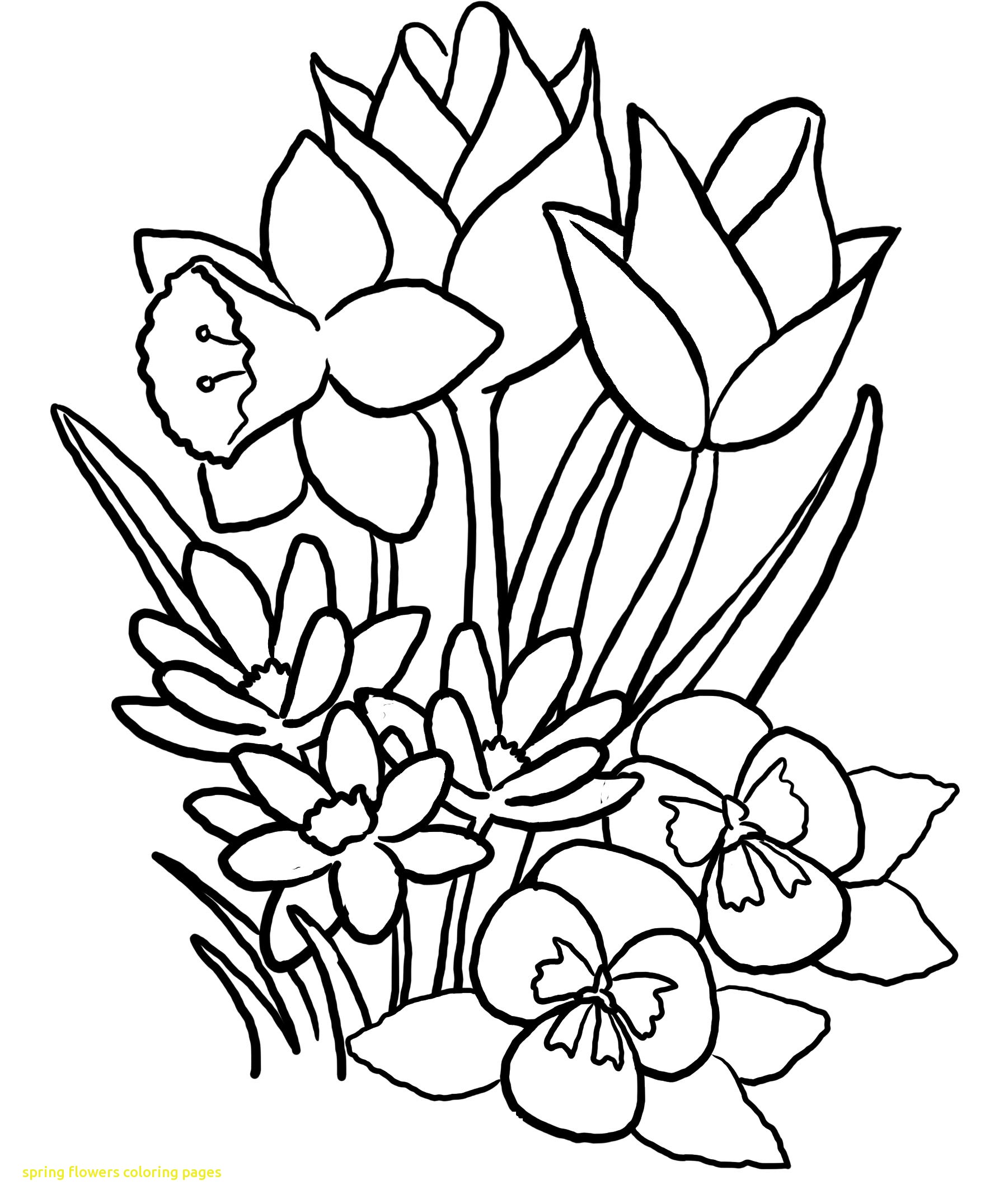 1785x2152 Coloring Pages For Spring Flowers Spring Flowers Coloring Pages