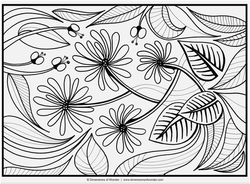 827x609 The Ideal Gallery Flowers Coloring Pages Information