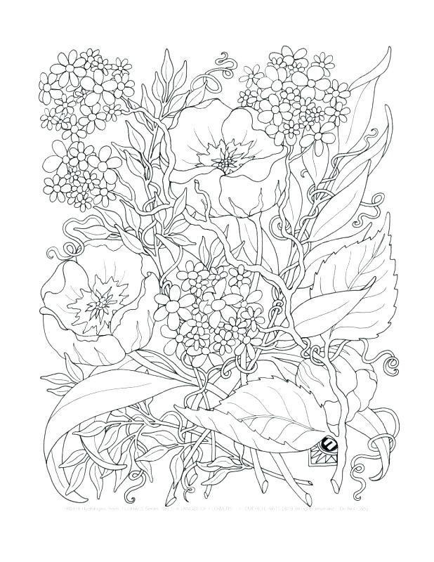 618x800 Adult Coloring Pages Flowers Printable Coloring Pages