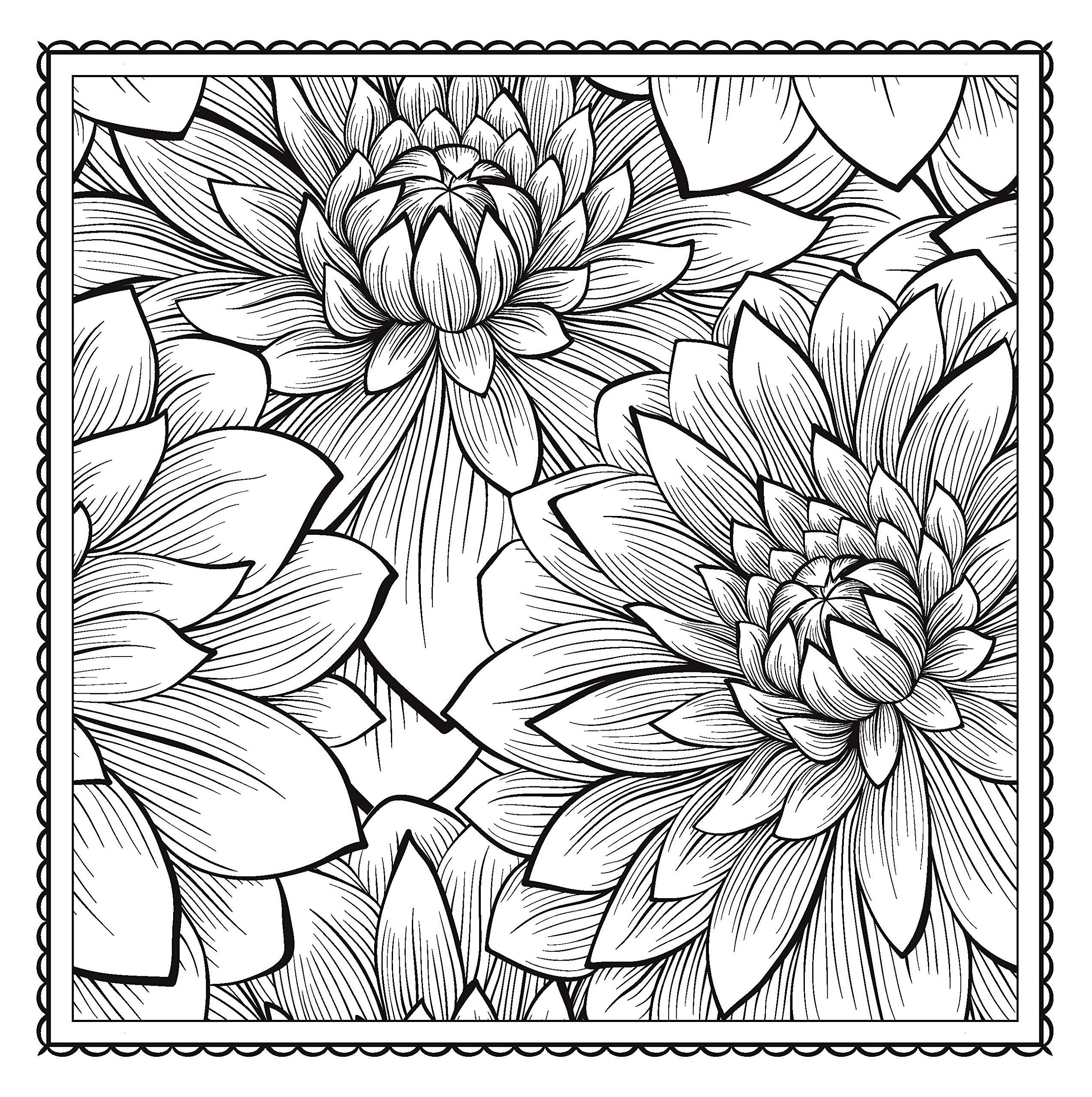 2548x2560 Blossom Magic Beautiful Floral Patterns Coloring Book For Adults