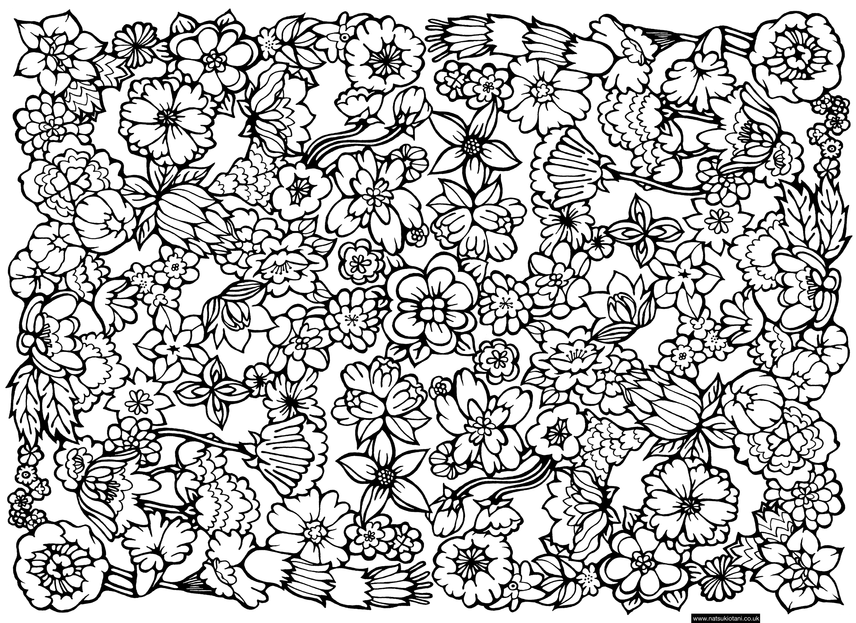 Awesome Unbelievable Flower Pattern Coloring Page With Hard 2749x2000 Awesome Unbelievable Flower Pattern Coloring Page With Hard