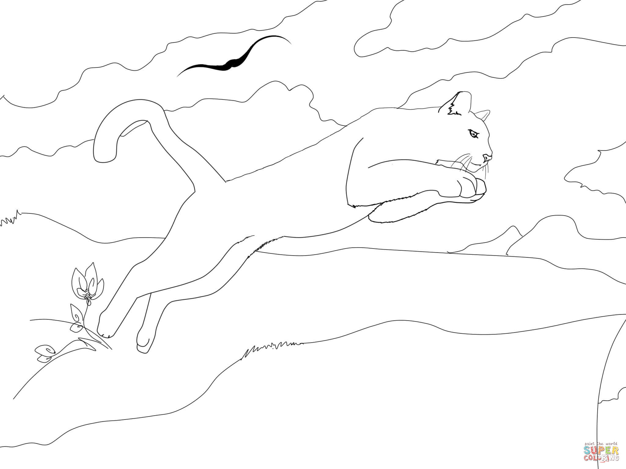 Florida Panthers Coloring Page 473882 2048x1536 Florida Panthers Coloring Page 473882