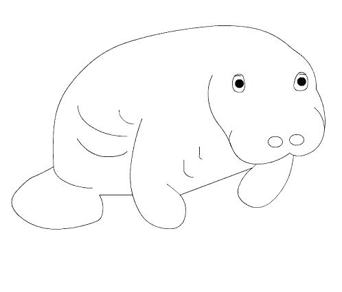 Manatee Coloring Page Coloring Pages To Print Florida Manatee 498x426 Manatee Coloring Page Coloring Pages To Print Florida Manatee