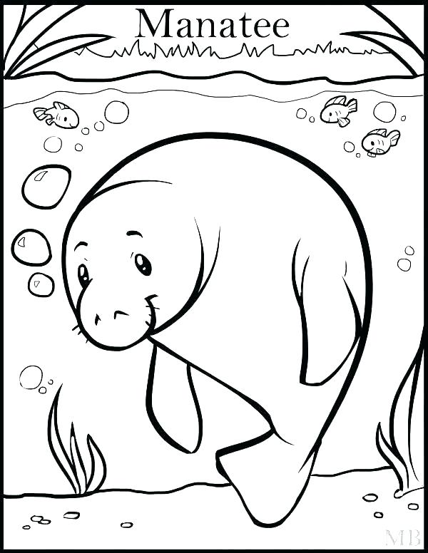 Manatee Coloring Page Manatee Coloring Pages Manatee Coloring 600x776 Manatee Coloring Page Manatee Coloring Pages Manatee Coloring