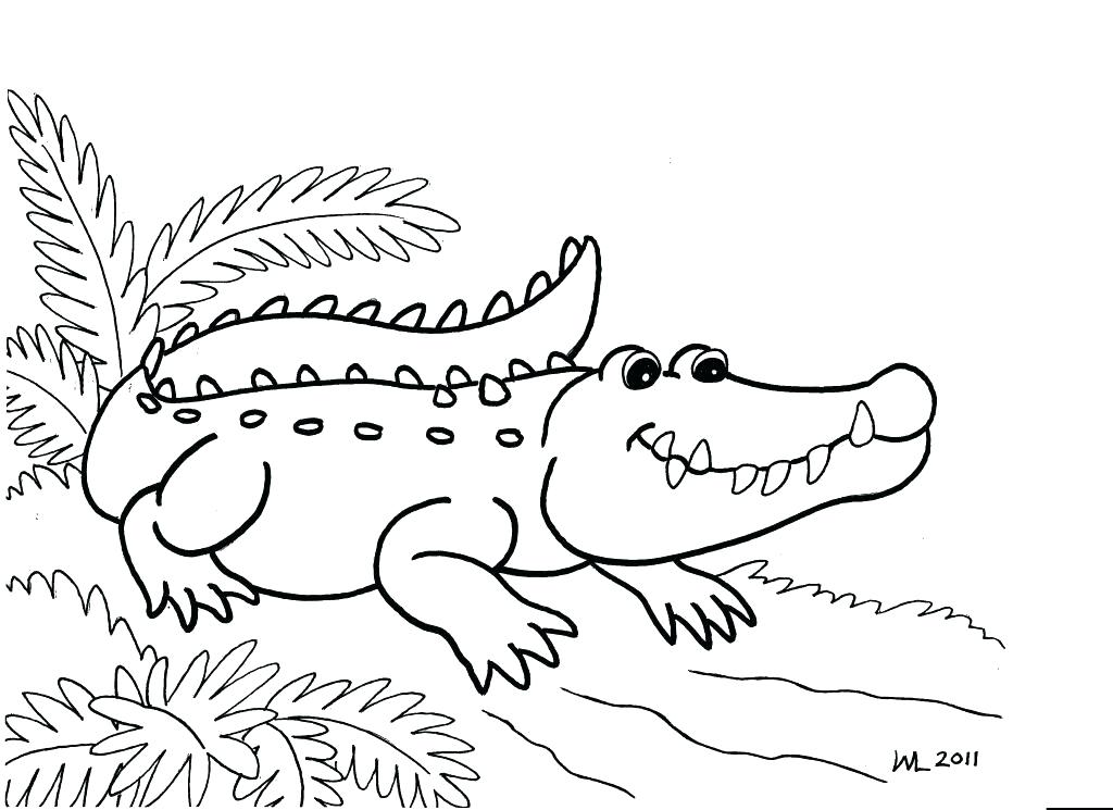 Gators Coloring Pages Gator Coloring Pages Realistic Gators 1024x745 Gators Coloring Pages Gator Coloring Pages Realistic Gators