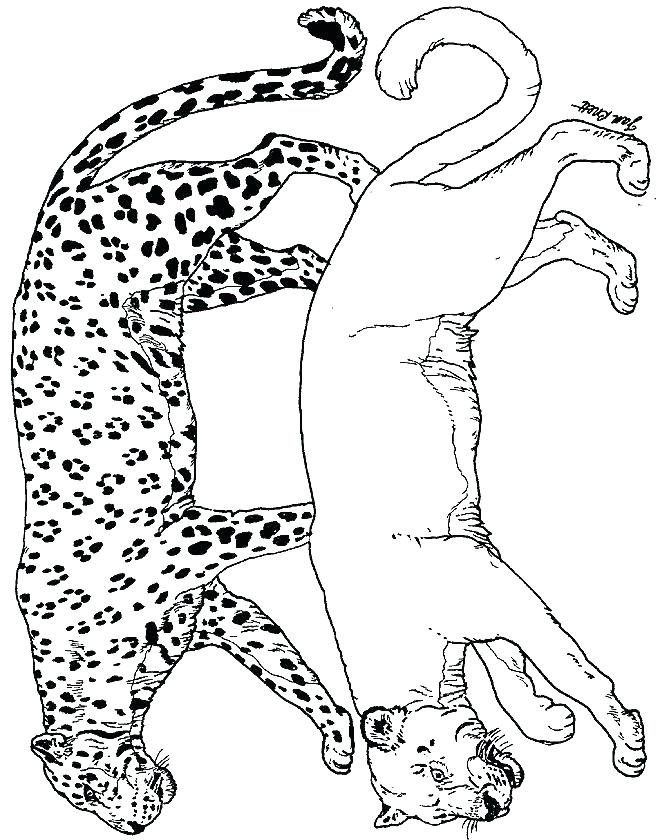 Panther Coloring Page Black Panther Coloring Pages Panther 660x840 Panther Coloring Page Black Panther Coloring Pages Panther