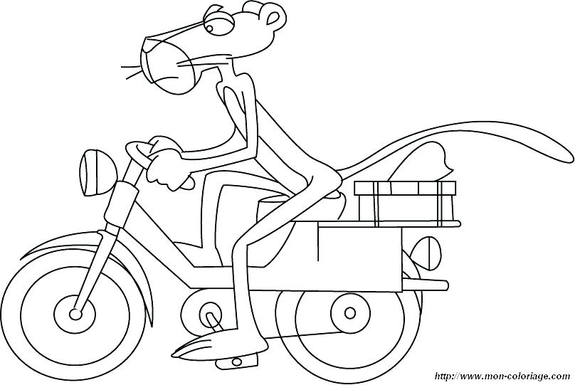 Panther Coloring Pages Index Coloring Pages Florida Panther 808x541 Panther Coloring Pages Index Coloring Pages Florida Panther