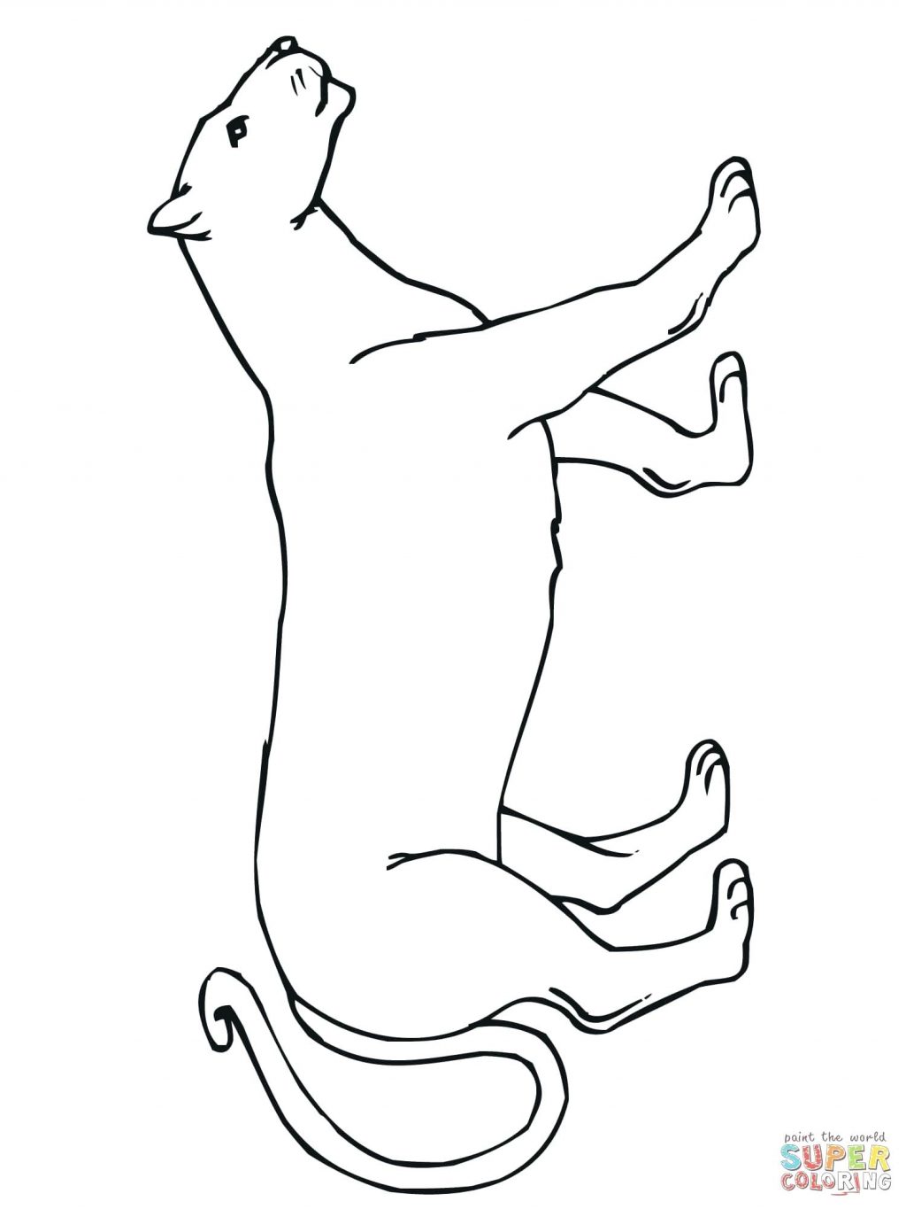 florida panther coloring page at getcolorings  free