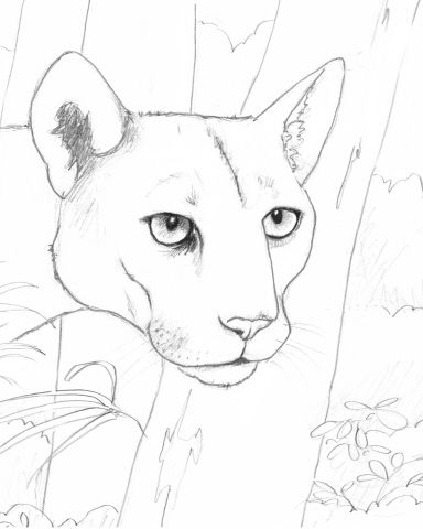 Coloring Book Download Pdf Link Of Endangered Animals Art Class 384x480 Coloring Book Download Pdf Link Of Endangered Animals Art Class