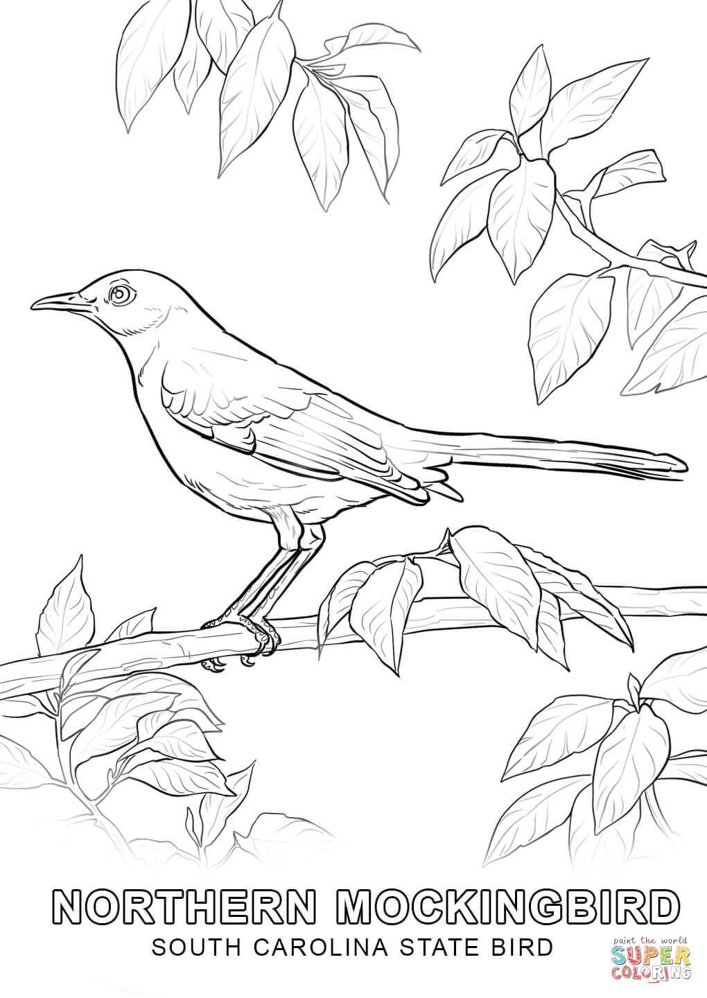 Florida State Bird Coloring Page 1020x1440 Florida State Bird Coloring Page