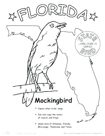 Florida State Flag Coloring Page Flag Coloring Page State Flag 350x453 Florida State Flag Coloring Page Flag Coloring Page State Flag