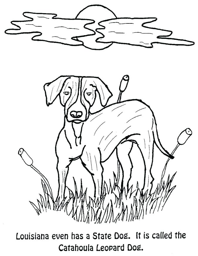 Florida State Flag Coloring Page State Crustacean A State Dog Top 675x874 Florida State Flag Coloring Page State Crustacean A State Dog Top