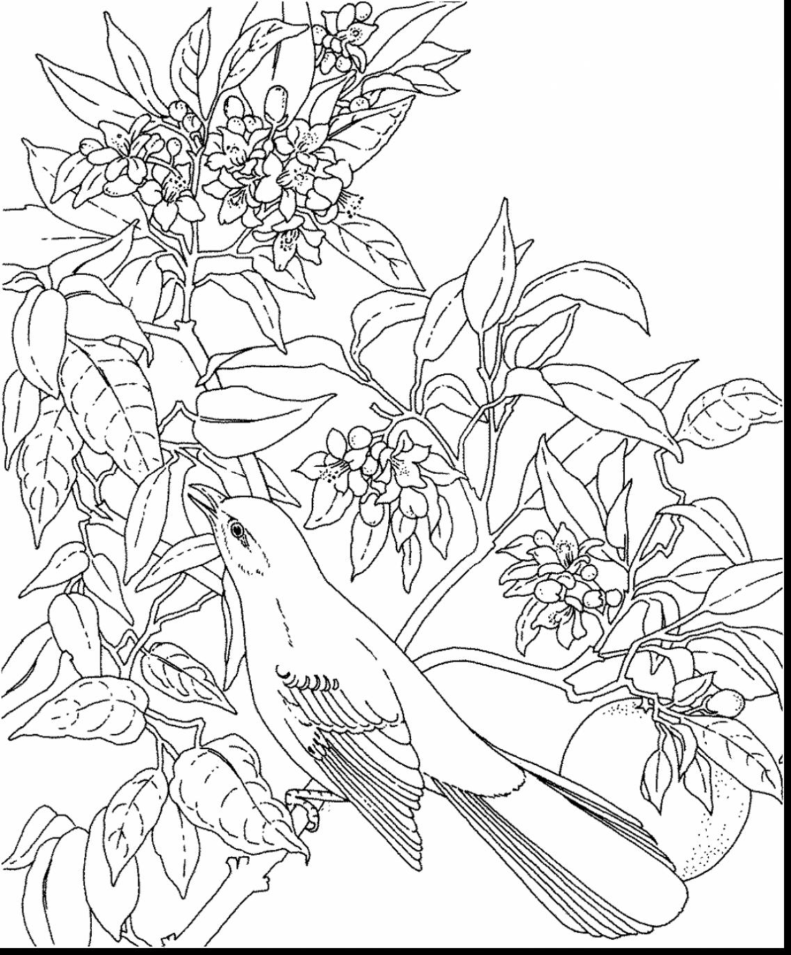 Best Of Flower And Bird Coloring Pages Collection Printable 1137x1373 Best Of Flower And Bird Coloring Pages Collection Printable