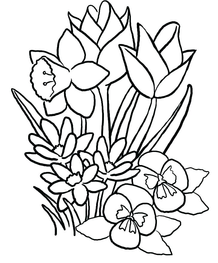 Flower Bouquet Coloring Pages Publications Creative Haven 728x878 Flower Bouquet Coloring Pages Publications Creative Haven