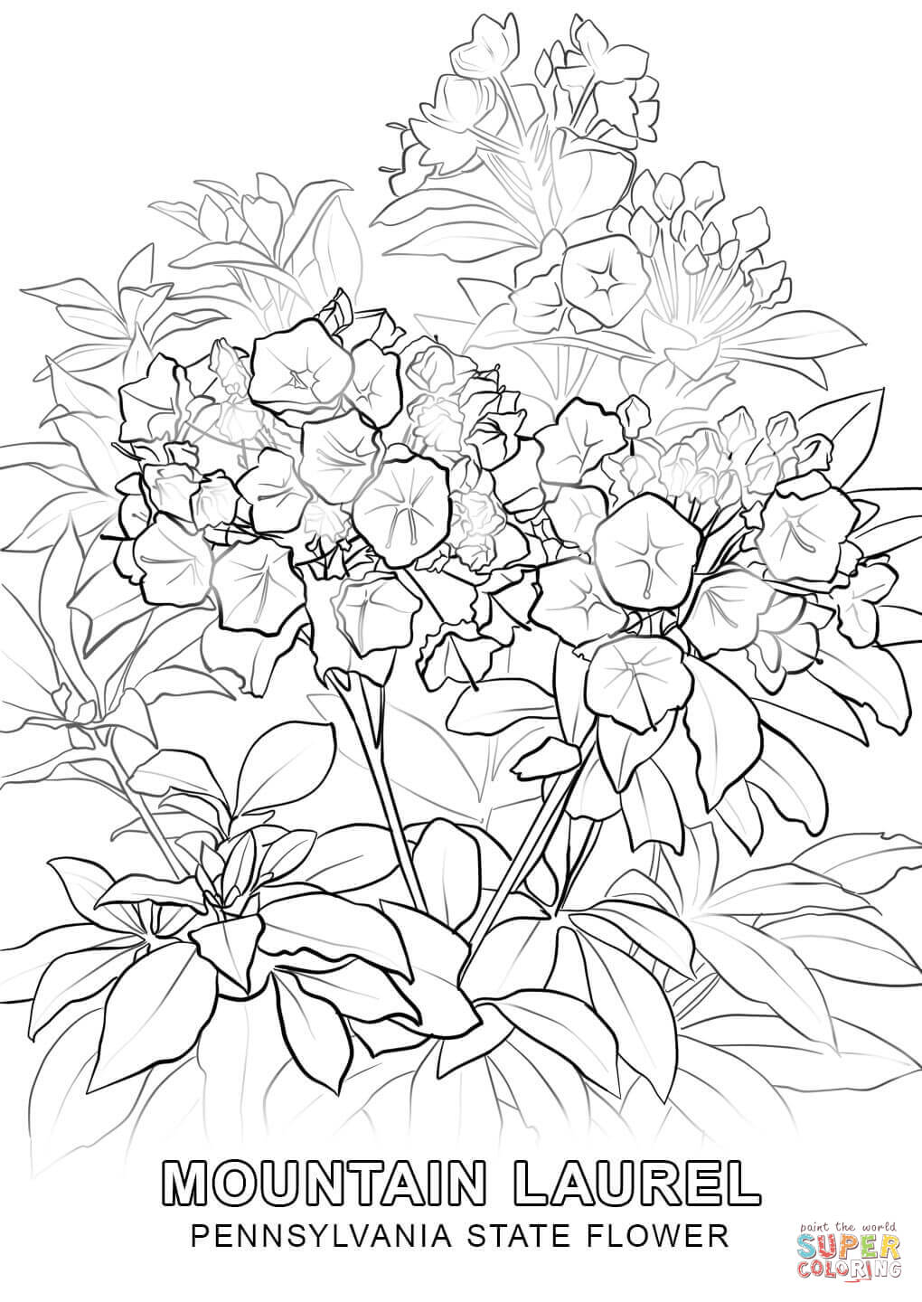 Focus Pennsylvania State Flag Coloring Page Flower Free Printable 1020x1440 Focus Pennsylvania State Flag Coloring Page Flower Free Printable