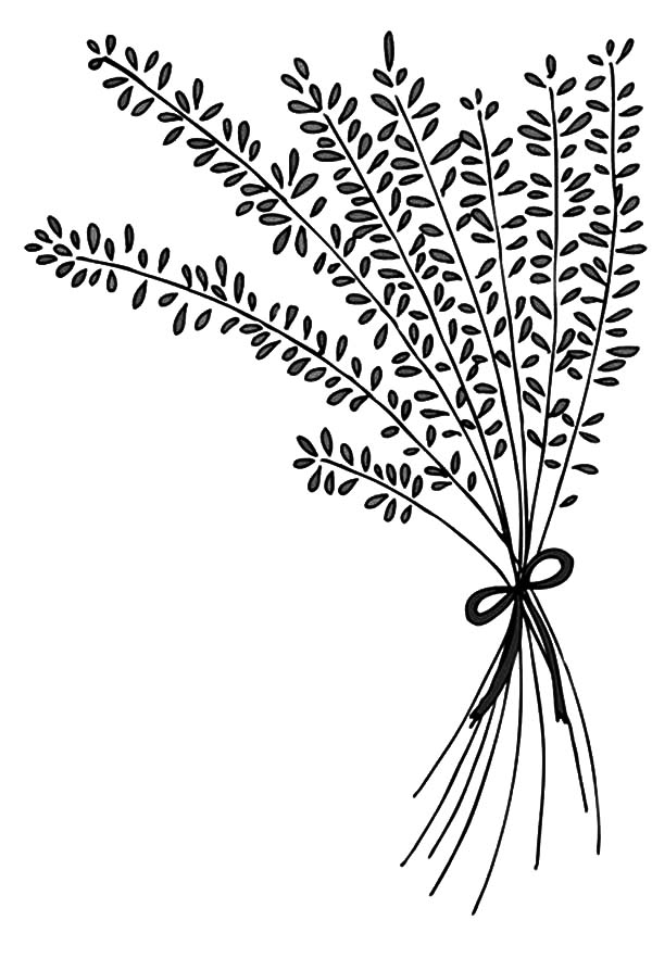 Lavender Flower Arrangement Coloring Pages 600x882 Lavender Flower Arrangement Coloring Pages