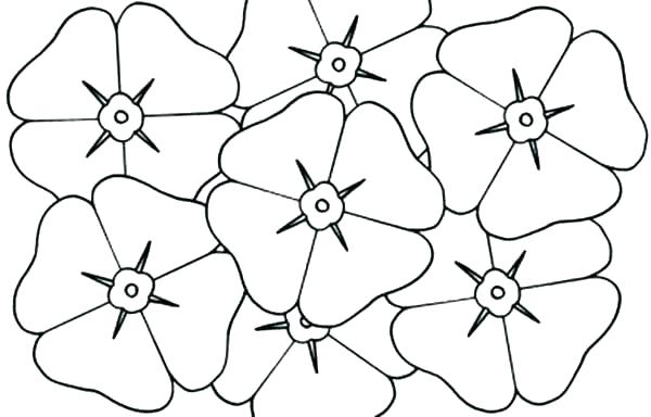 Poppy Coloring Pages Poppy Coloring Page Poppy Coloring Page Poppy 600x384 Poppy Coloring Pages Poppy Coloring Page Poppy Coloring Page Poppy