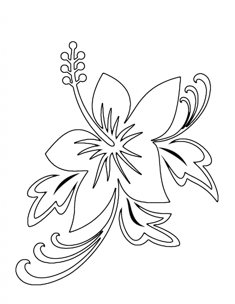 Exotic Flower Coloring Pages 791x1024 Exotic Flower Coloring Pages