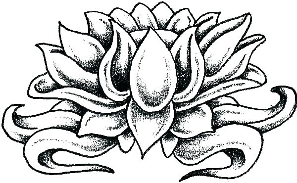 Lotus Flower Coloring Page As Well As Lotus Flower Coloring Page 600x370 Lotus Flower Coloring Page As Well As Lotus Flower Coloring Page