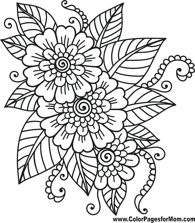 Coloring Pages Flowers 640x732 Coloring Pages Flowers