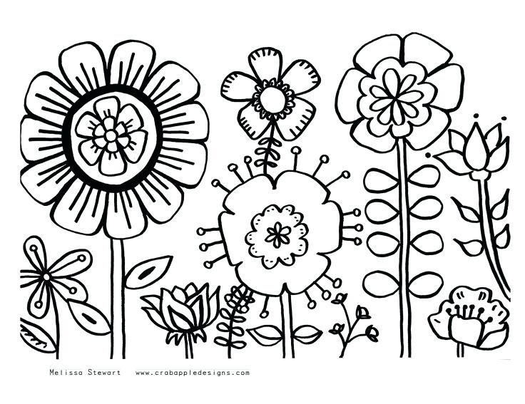 Coloring Pages For Watercolor Vanda 736x567 Coloring Pages For Watercolor Vanda