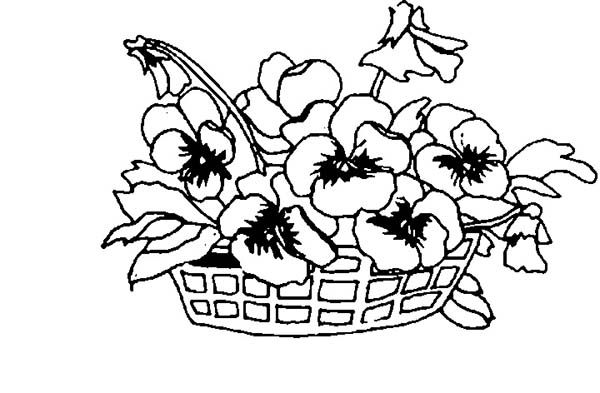 Spring Flower On A Basket Coloring Page Color Luna 600x393 Spring Flower On A Basket Coloring Page Color Luna