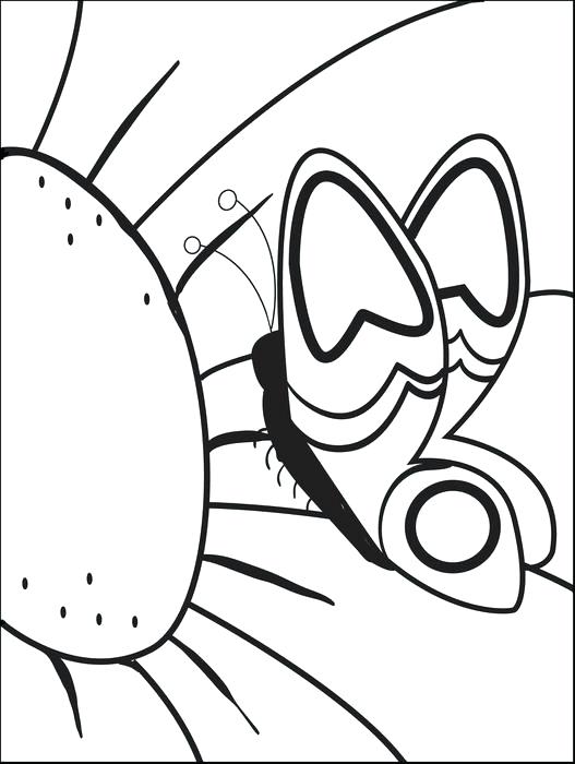 527x700 Free Printable Coloring Pages Life Cycle Butterfly Page For Kids 2