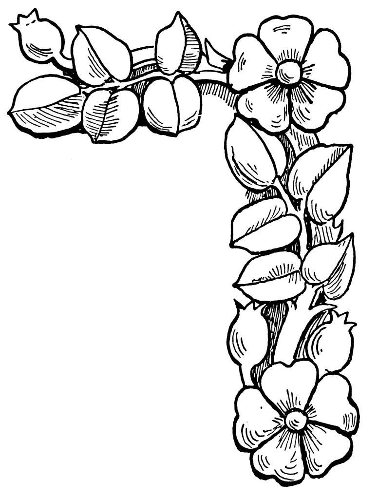 776x1024 Borders 2 Coloring Page