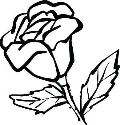 390x405 Rose Flower Coloring Pages Rose Color Page Rose Coloring Pages