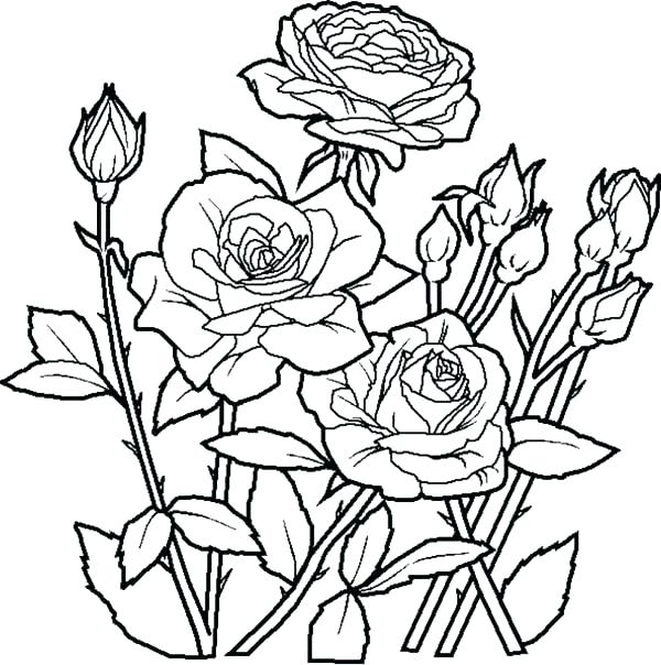 600x604 Flower Bouquet Coloring Pages