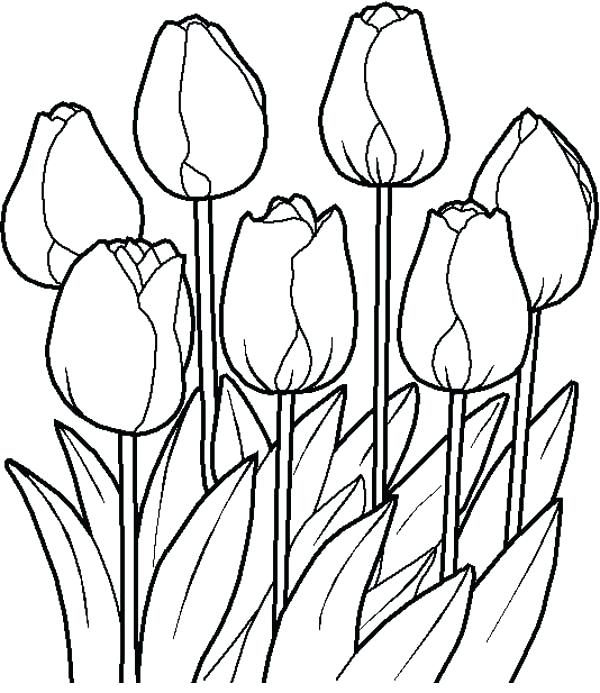 600x693 Bird House Bird House At Flower Garden Coloring Pages Bird House