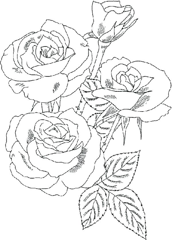 Flower Bouquet Coloring Pages at GetColorings.com | Free printable ...