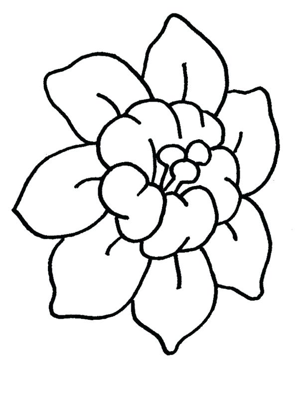 Easy Flower Coloring Pages Cartoon Daisy Flower Cartoon Flowers 600x800 Easy Flower Coloring Pages Cartoon Daisy Flower Cartoon Flowers