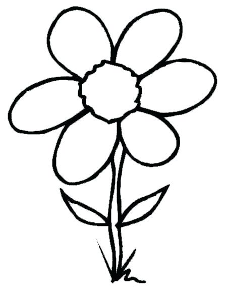 Ideas Spring Flower Coloring Pages And Spring Flowers Coloring 448x577 Ideas Spring Flower Coloring Pages And Spring Flowers Coloring