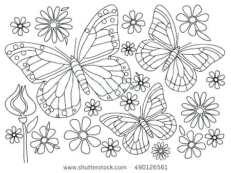 Cartoon Butterfly Coloring Pages 450x338 Cartoon Butterfly Coloring Pages