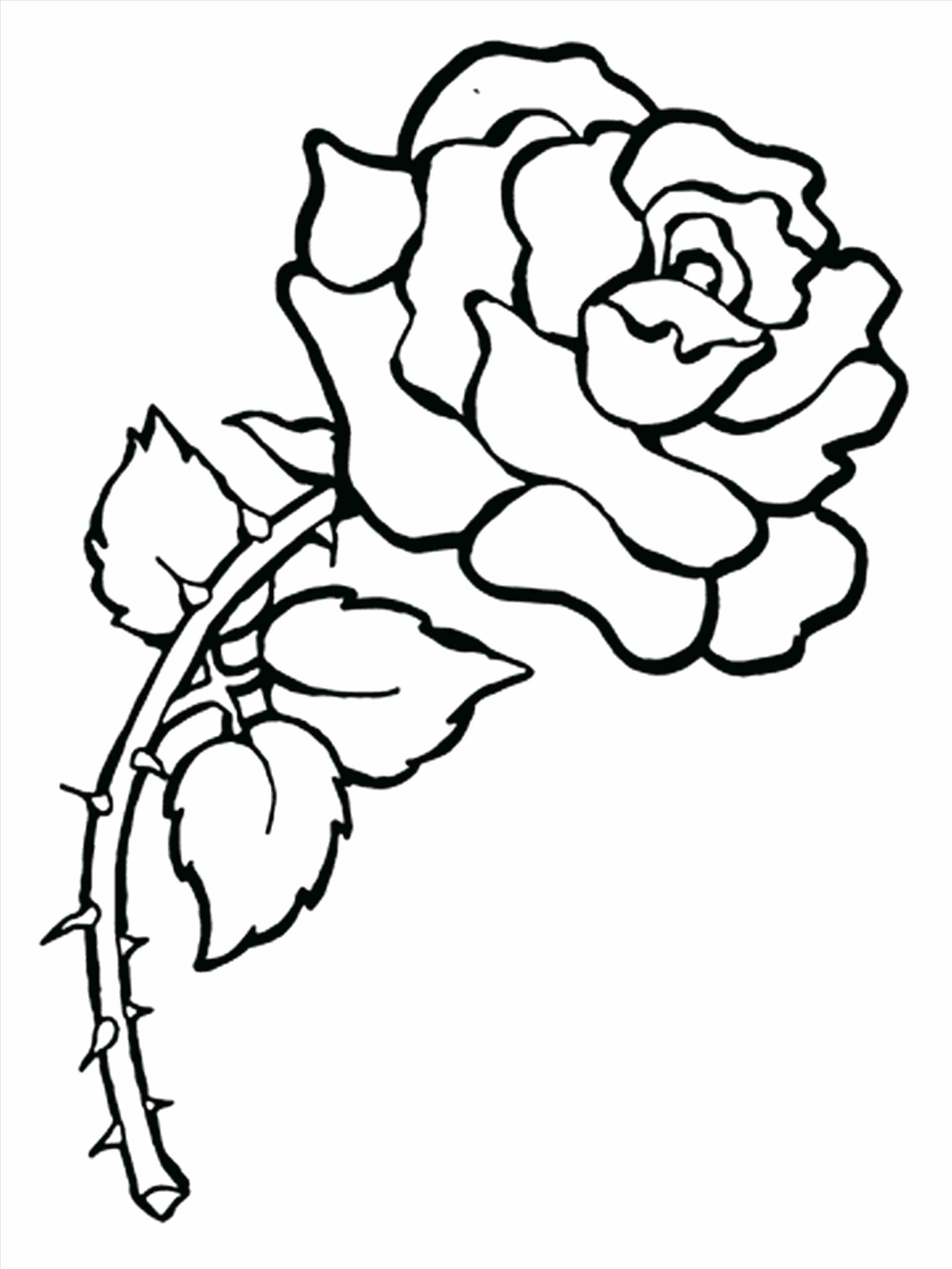 Fresh Realistic Flower Coloring Pages Gallery Printable Coloring 1900x2533 Fresh Realistic Flower Coloring Pages Gallery Printable Coloring