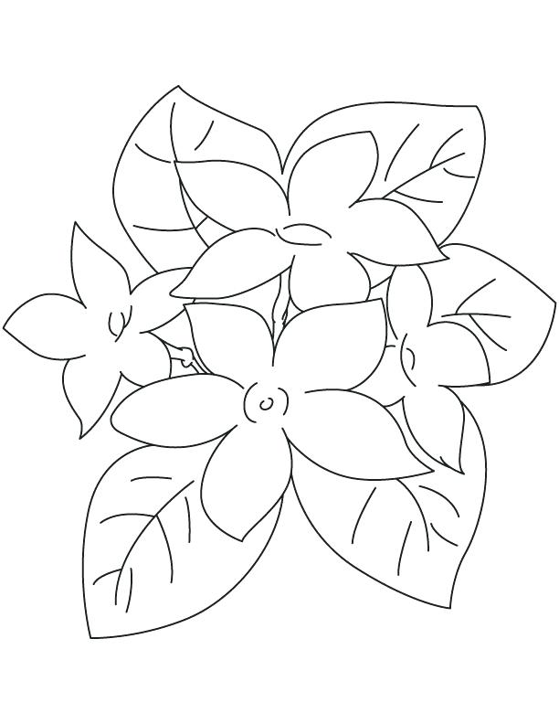 612x792 Simple Flower Coloring Pages Kids On Flower Pot Coloring Page