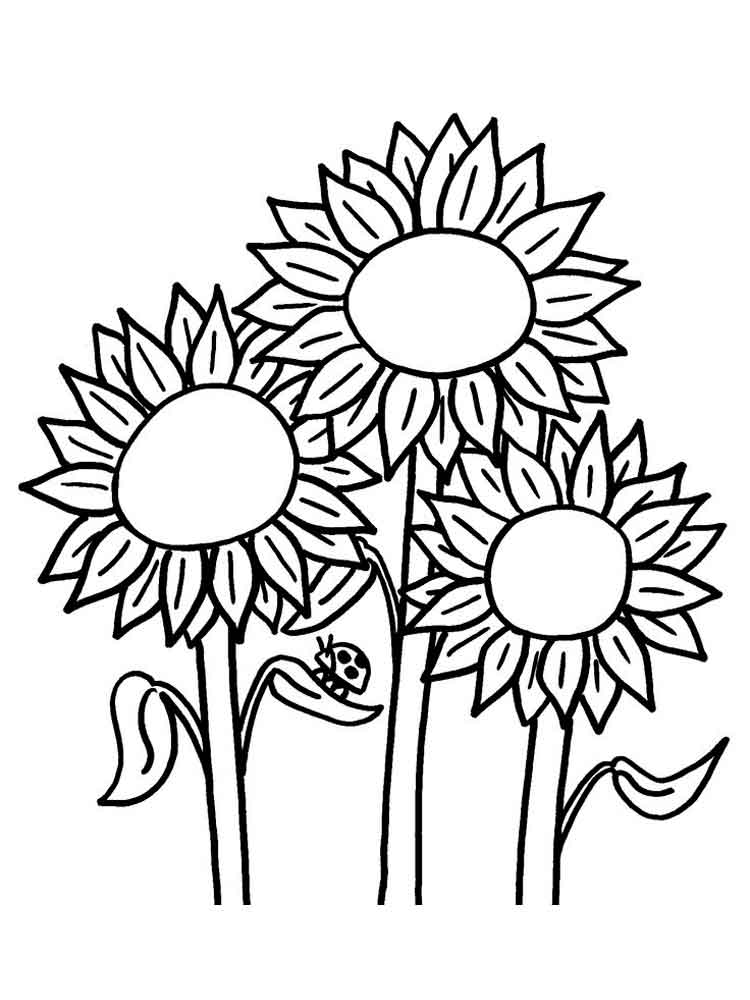 750x1000 Sunflower Coloring Pages. Download And Print Sunflower Coloring Pages