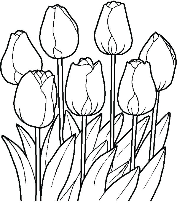 600x693 Coloring Pages Garden Flower Garden Coloring Pages Flower Garden