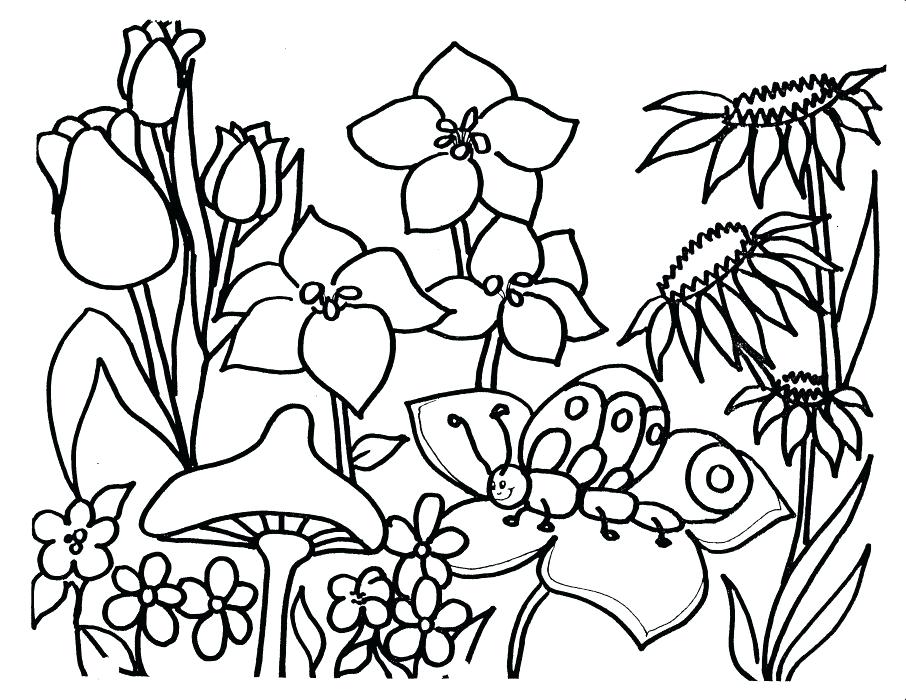 906x700 Flower Color Pages Coloring Pages Roses And Hearts Roses Coloring
