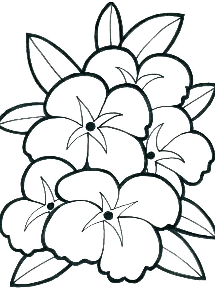 Easy Flower Coloring Pages Easy Flower Coloring Pages Easy 687x920 Easy Flower Coloring Pages Easy Flower Coloring Pages Easy