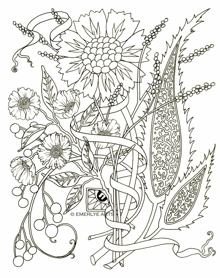 Adult Coloring Pages Flowers 736x926 Adult Coloring Pages Flowers