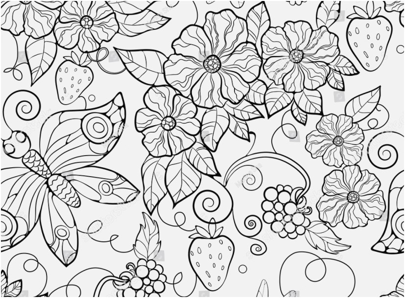 Flowers Coloring Pages Collection Butterfly And Flower Coloring 827x609 Flowers Coloring Pages Collection Butterfly And Flower Coloring