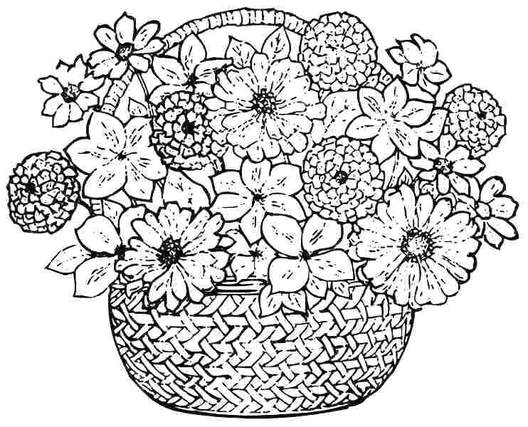 Printable Flower Coloring Pages For Adults Free Printable Coloring 742x600 Printable Flower Coloring Pages For Adults Free Printable Coloring